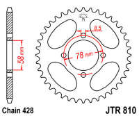Звезда задняя JT JTR810.48